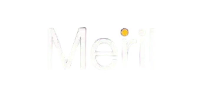 Meril Life Sciences logo